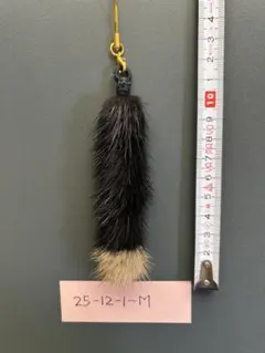 Item thumbnail for item b725ec09-8b8d-4f12-8aa6-13b418a47f58