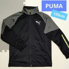 プーマ ジャージ 上 150cm