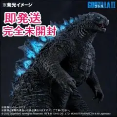 訳あり 東宝30cmシリーズ ヘドラ エクスプラス ゴジラ 少年リック