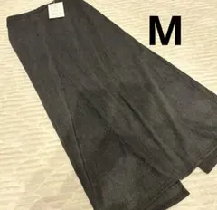 Item thumbnail for item f17ed347-e061-4069-91db-bbab0e7c4abb