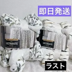 Item thumbnail for item 47db73c0-28ed-4d58-b897-78999de6364c