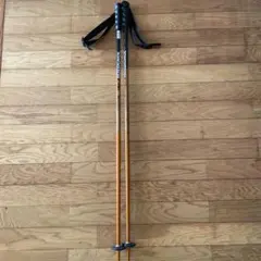 ROSSIGNOL スキー ストック オレンジ ブラック