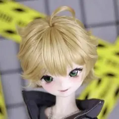 ドールウィッグ　セット済み　8-9インチ　ドール用　mdd bjd 1/3