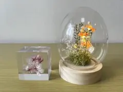 【フラワー雑貨2点セット】LEDフラワードーム / 桜の置き物