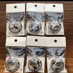 伊藤潤二 マニアック ご当地マンホール ガラスマグネット 6種