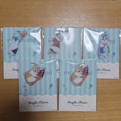 mofusand アクリルチャーム　5個