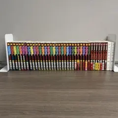 アカギ30冊　トネガワ7冊　アイシテル2冊　合計39冊