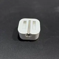 アップル純正 USB-C 充電器 BFタイプ（シンガポールや英国）