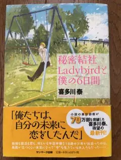 秘密結社Ladybirdと僕の6日間