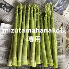 mizutamahanako様専用