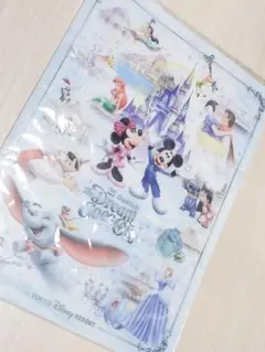 東京ディズニーリゾート クリアファイル A4 ミッキー　ミニー