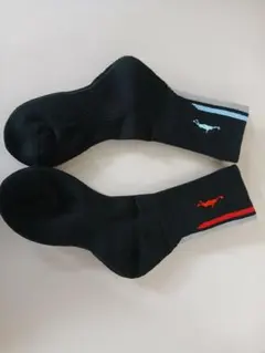 インザペイントバスケソックス19～22cm2足セット正規品日本製