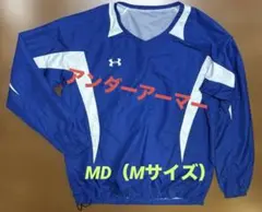 Item thumbnail for item 11253569-640c-4a50-8068-19979b96a13c