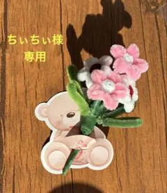 ちぃちぃ様専用