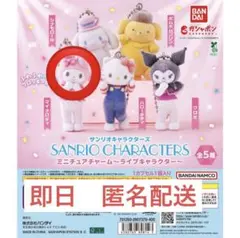 (匿名配送)サンリオミニチュアチャーム　~ライブキャラクター~ マイメロディ