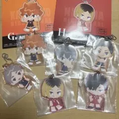 ハイキュー 一番くじ 劇場版 ゴミ捨て場の決戦2 G賞烏野 H賞音駒