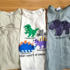 恐竜 3着セット