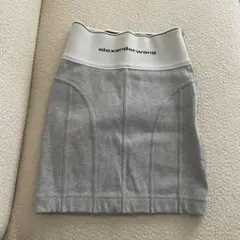 2025年最新】Alexander Wang ミニスカートの人気アイテム - メルカリ