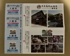 京王株主優待★高尾山温泉極楽湯入館券他のサムネイル