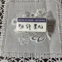 INI XQUARE 許豊凡 ネームプレート ピンバッチ カプセルトイ