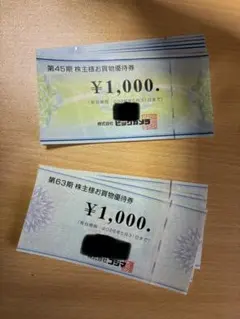 ビックカメラ　コジマ　株主優待券11000円分