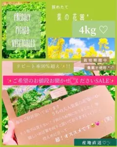 ❤️今だけ4kg 2999円✨限定セット!お裾分けなどにもオススメ✨SALE!!❤️