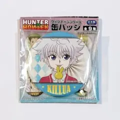 2026年最新】タイトル：HUNTER×HUNTER キャラクターグッズ ピンズ