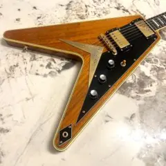 Item thumbnail for item f471b4b0-b865-4a18-afaa-3d23dcf32d62