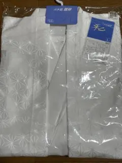 Item thumbnail for item 57c9c1cf-83a3-4fdd-a2df-53edd2990ea9