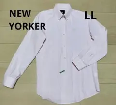 NEWYORKER ボタンダウンシャツ ビジネスシャツ ピンク LL