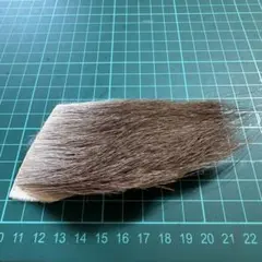 Item thumbnail for item 0b132c93-8520-4e85-ba7c-fe38c90bbfd6