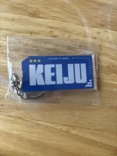 2026年最新】keiju キーホルダーの人気アイテム - メルカリ