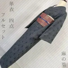 単衣 大島紬 小紋 フルセット 麻の葉 161.5 健やかな成長 幾何学 単5