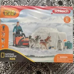 シュライヒ ワイルドライフ 南極探検 42624