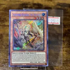 遊戯王【英語版】『美品‼️』スプレンディッド・ローズ 1st レリーフ