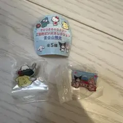 ご当地ピンズコレクション 富士山限定 ポムポムプリン ハンギョドン