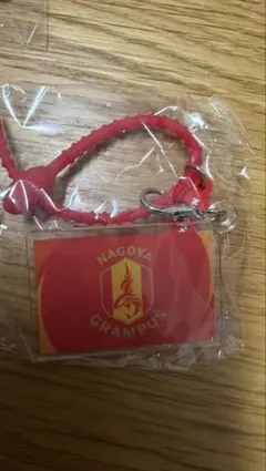 名古屋グランパス マルチチャーム