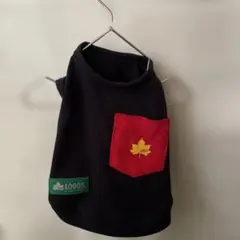 Item thumbnail for item a05a224f-f8b4-4dcc-aa94-f44f2bc06791