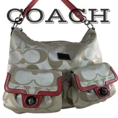 【美品】 COACH コーチ ハンドバッグ シグネクチャー ポピー