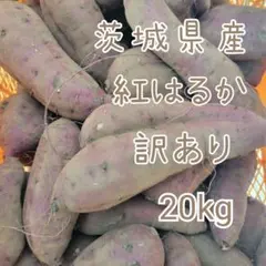 訳あり　紅はるか　20キロ　茨城県産　栽培中農薬不使用　さつま芋