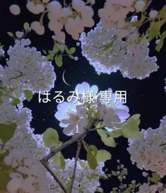 ハルミ様 リクエスト 2点 まとめ商品