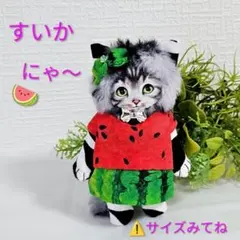 コヤンイサムチョン＊薄型ぬいぐるみチャーム[サバねこちゃん
