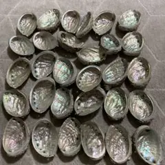 Item thumbnail for item 6a1c8ef1-ec87-44e1-bd04-1c4d5cc0b6dd