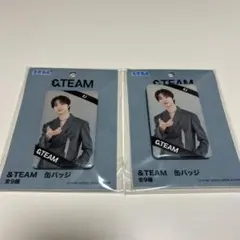 &TEAM EJ SEGA 缶バッジ 2個セット 未開封