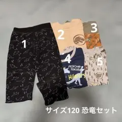 恐竜柄 Tシャツ&パンツ５点セット 120〜130