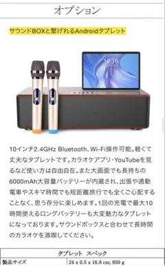 HANZON Sound Box 無線マイク2本付き 超高音質！本格ホームカラオケHANZONサウンドボックス！なんと無線