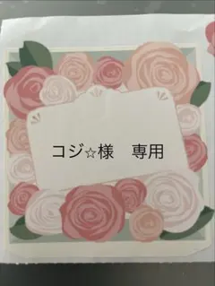 コジ⭐︎様　専用