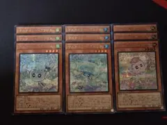 マルチャミープルリア マルチャミーニャルス　マルチャミーフワロス