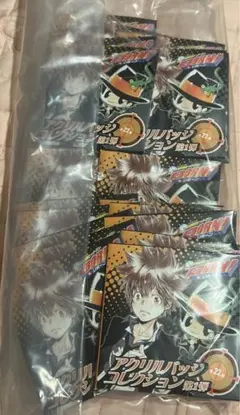 家庭教師ヒットマンＲＥＢＯＲＮ　アクリルバッジコレクション第１弾 22種