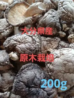 Item thumbnail for item dcc823e7-389b-4f74-8fa7-2cc76795707d